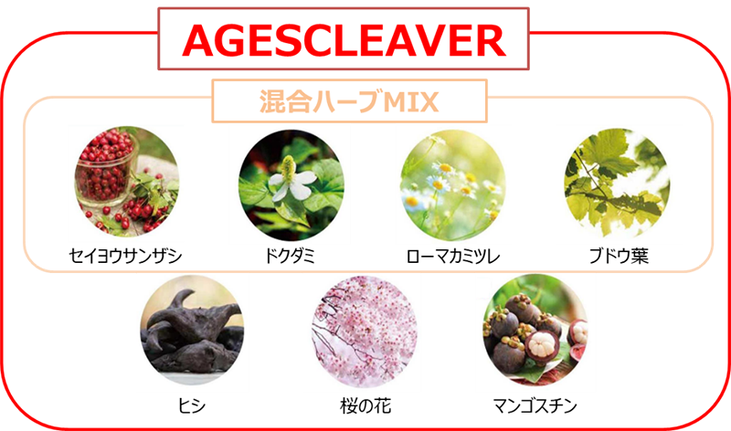 AGESCLEAVER